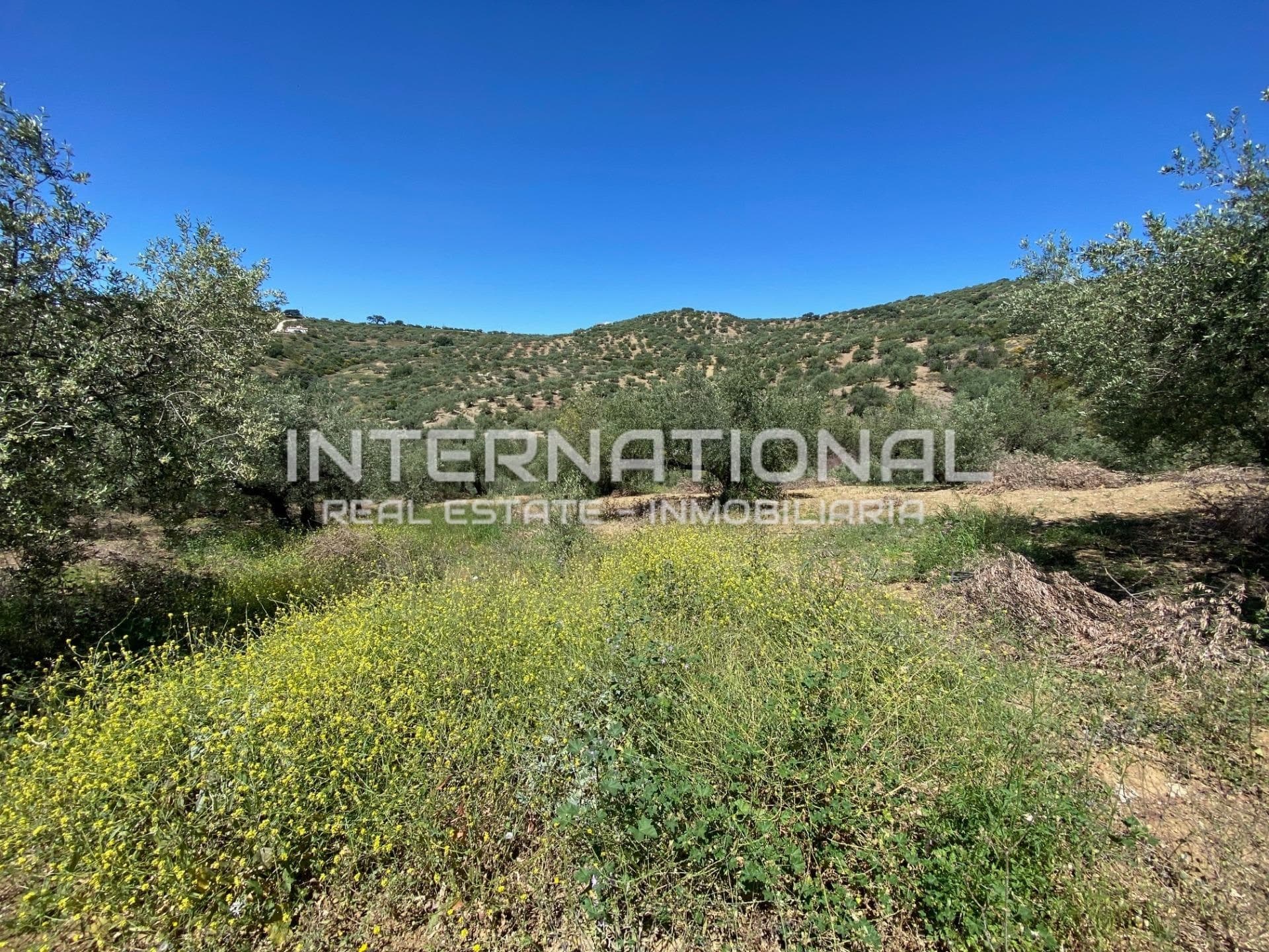 2 PARCELAS PARA 2 CASITAS